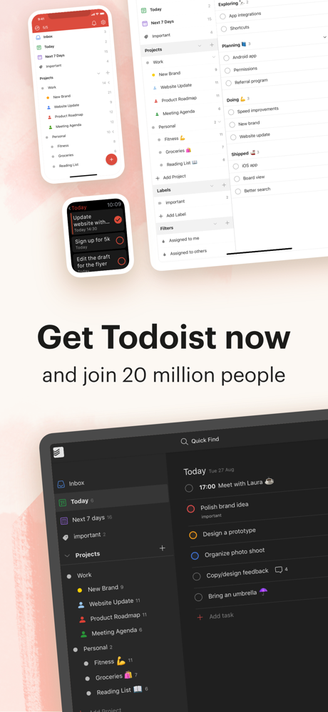 Todoist: To-Do List & Tasks screenshot on ios