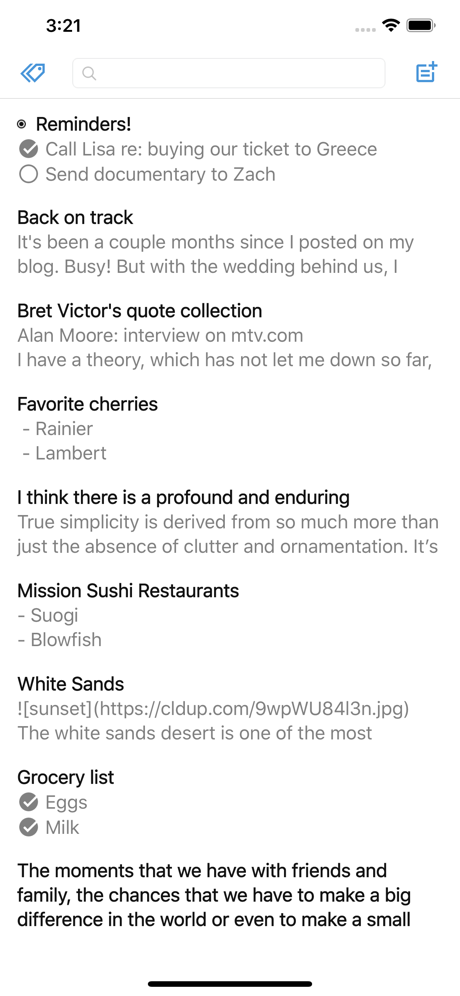 Simplenote screenshot on ios