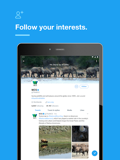 Twitter screenshot on android